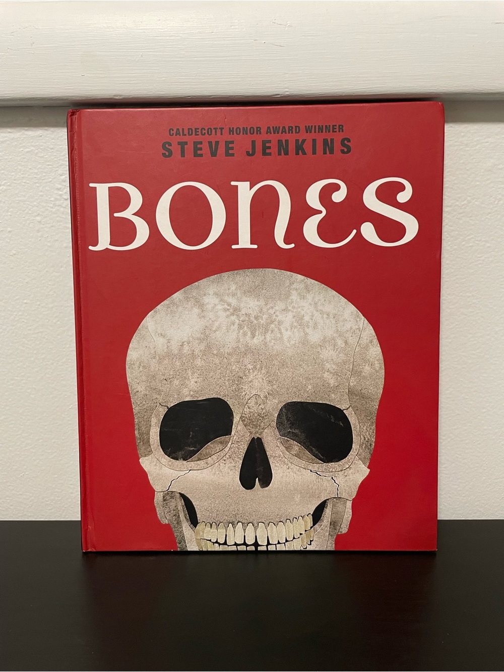 Bones Skeletons & How They Work Book Steve Jenkins NEW Hardcover Scholastic